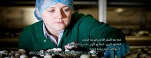 الفطر المتزايد