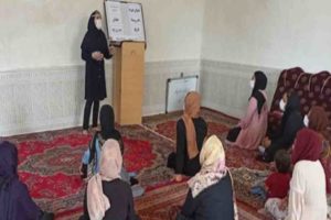 کارگاه پرورش قارچ خوراکی