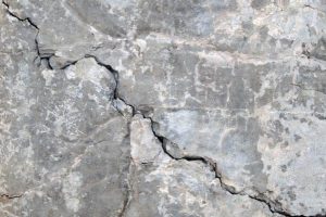 سیمانی که با کمک قارچ ترک های خود را ترمیم می کند!